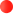 li